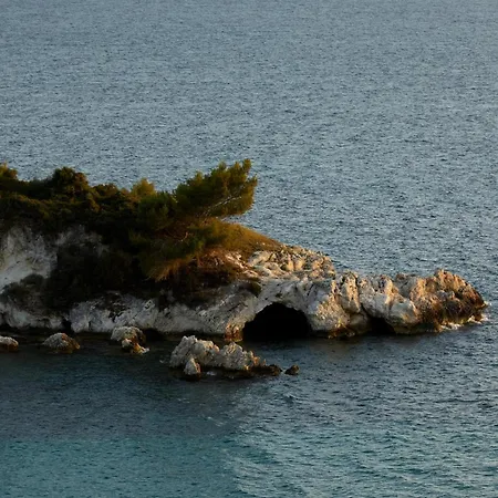The Wildt - Exclusive Coastal Living Villa *