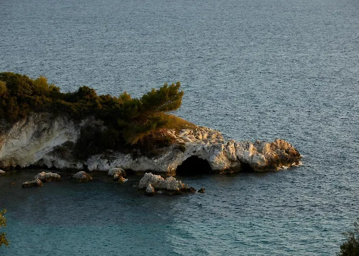 The Wildt - Exclusive Coastal Living Villa *